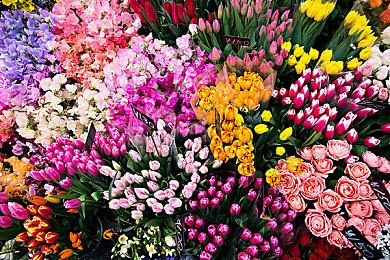 今年11月我们将迎来大量电子游戏的周年纪念日